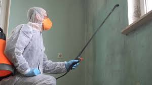 Best Basement Mold Removal  in Keys, OK